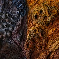 <a href=https://www.galeriegosserez.com/gosserez/artistes/l-c-lab.html> L&C Lab</a> - Biomater - Free Shape II
